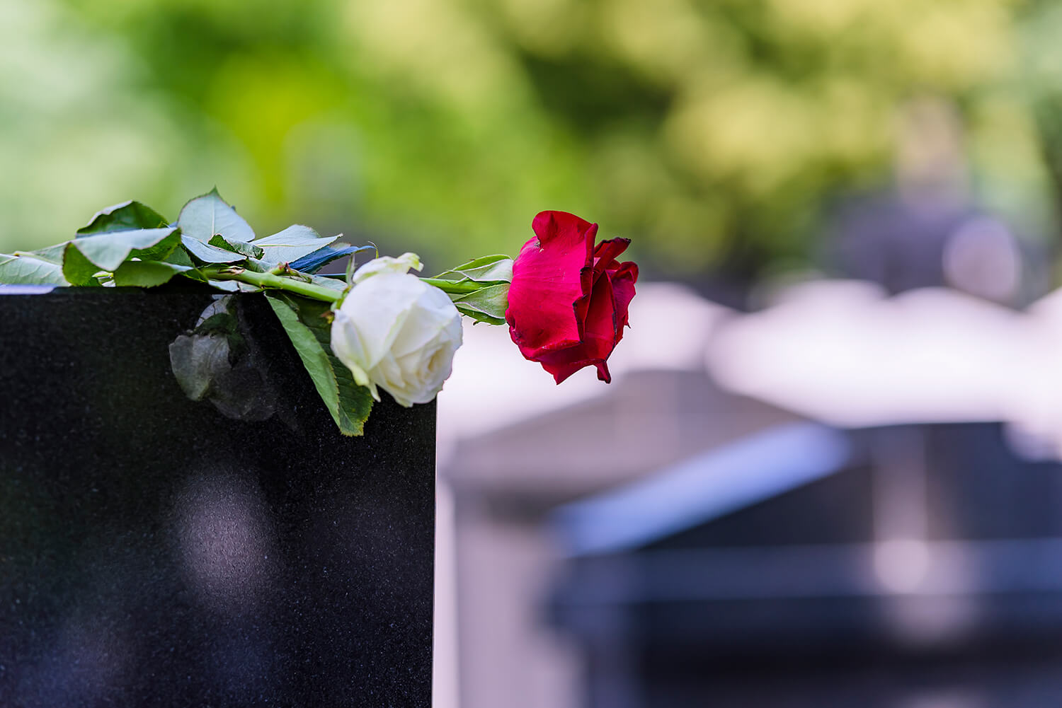 Two flowers rest on a gravestone. People whose families are mistreated by funeral services can get help from the Alabama funeral home negligence lawyers at The Clarkson Firm.